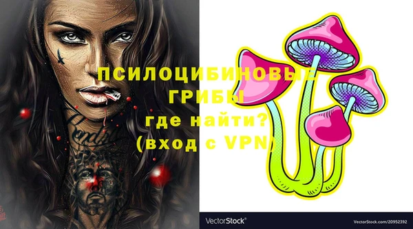 МДПВ Слюдянка