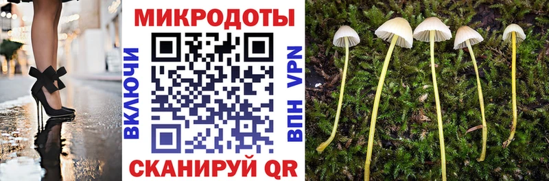 где купить наркоту  Мариинск  Псилоцибиновые грибы Psilocybine cubensis 