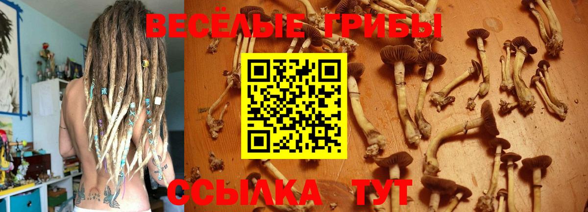 Мариинск  Галлюциногенные грибы мицелий  как найти наркотики  Псилоцибиновые грибы мухоморы  Вход с VPN 